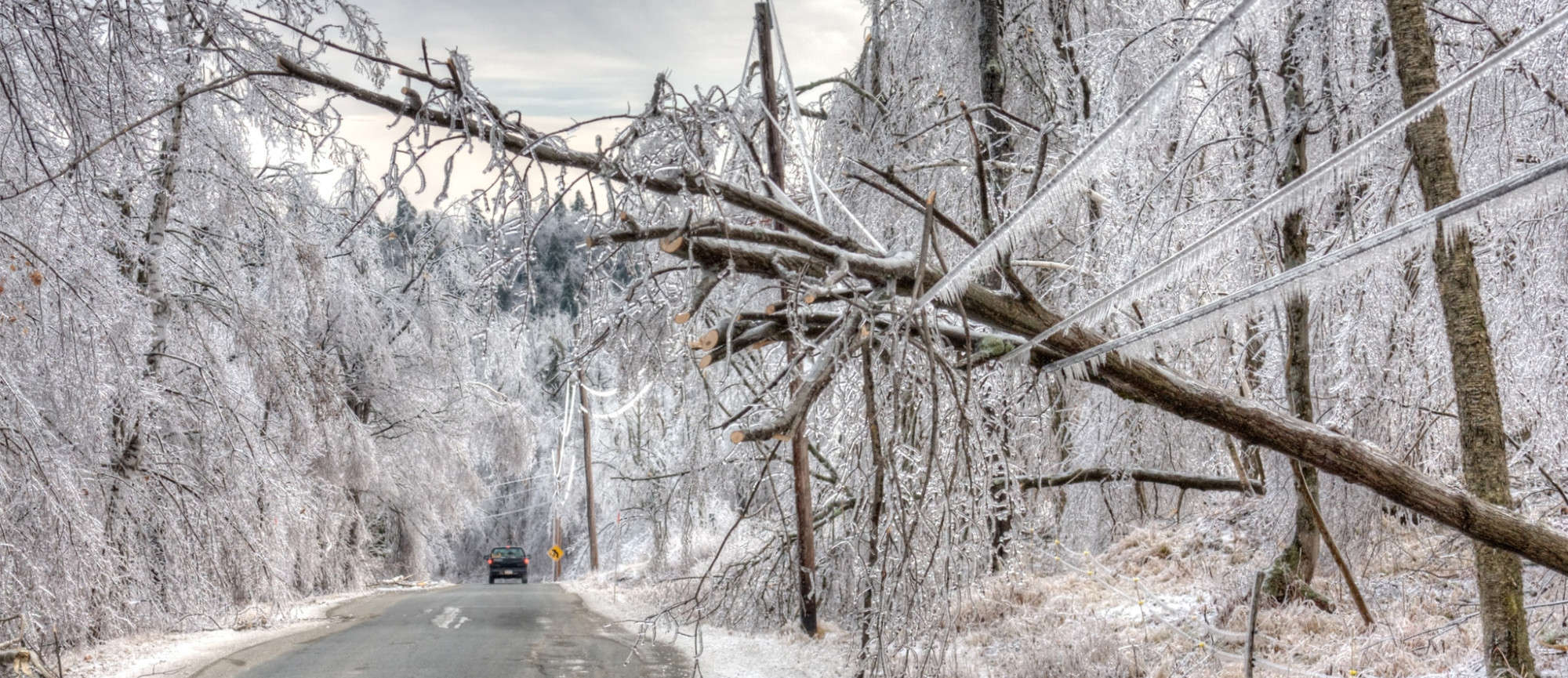 Adjusters International Storm Claim