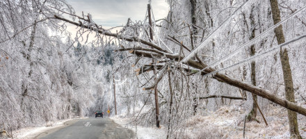 Trees Across Electrical Wires After an Ice Storm