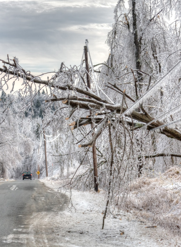 Adjusters International Storm Claim