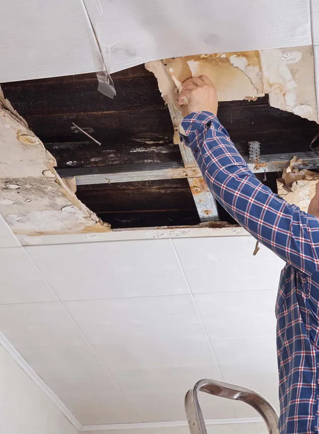 Man Repairing Ceiling Tiles Damaged by Water